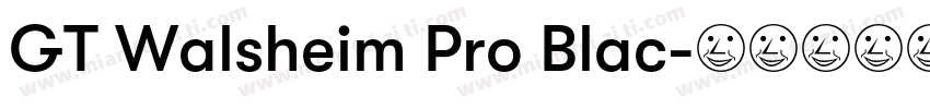 GT Walsheim Pro Blac字体转换